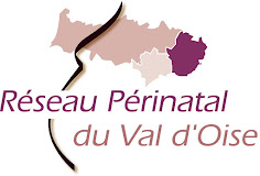 logo RPVO